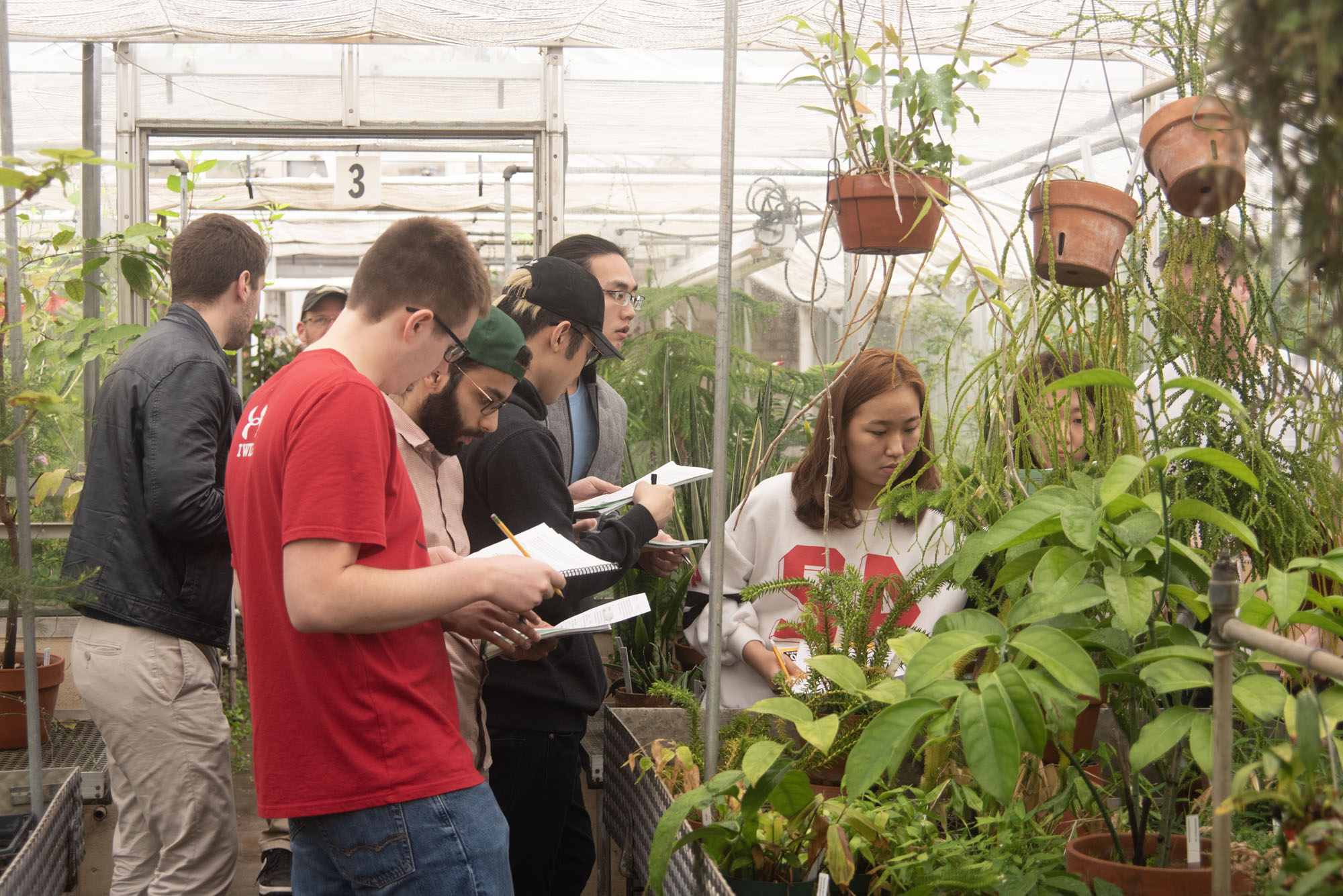 Students attend class in the greenhouse.