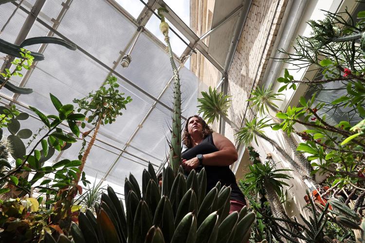 Agave Death Bloom featured as State Journal Photo of the day